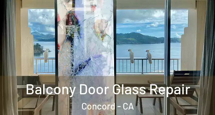 Balcony Door Glass Repair Concord - CA