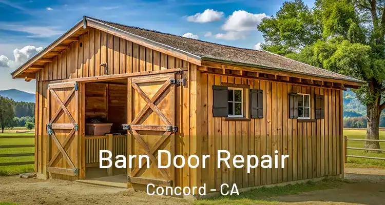  Barn Door Repair Concord - CA