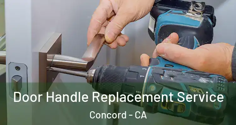  Door Handle Replacement Service Concord - CA