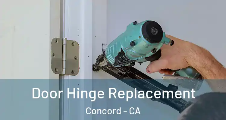  Door Hinge Replacement Concord - CA