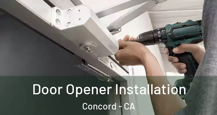  Door Opener Installation Concord - CA