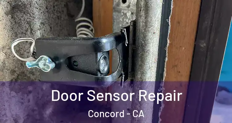  Door Sensor Repair Concord - CA