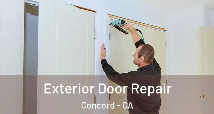  Exterior Door Repair Concord - CA
