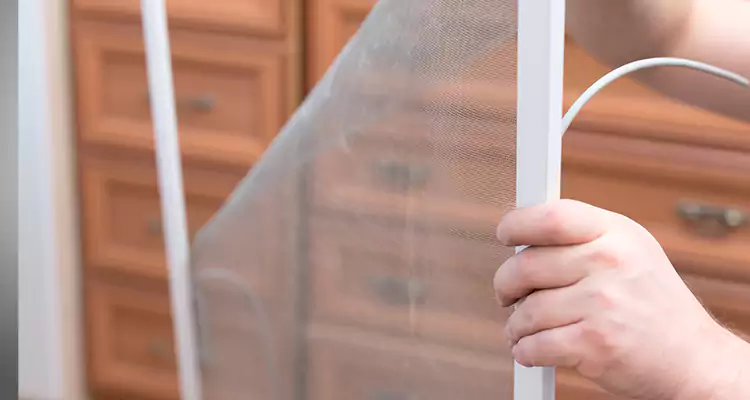 Privacy Mesh Screen Door Installation in Concord, CA