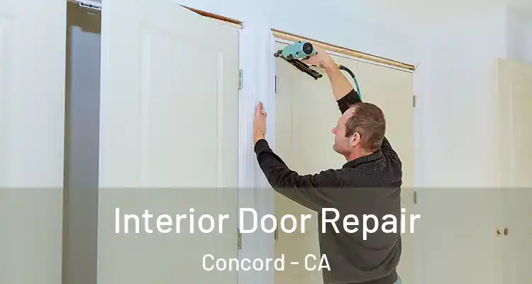  Interior Door Repair Concord - CA