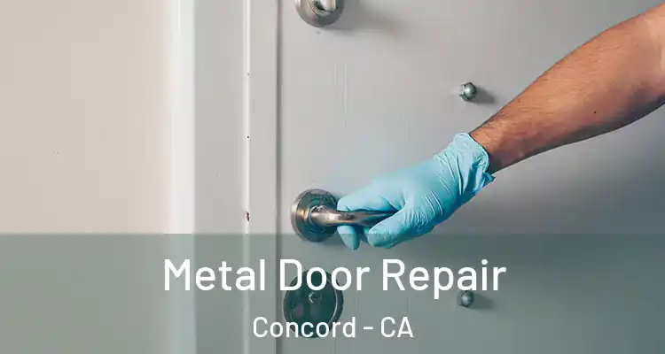  Metal Door Repair Concord - CA
