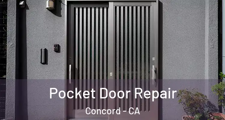 Pocket Door Repair Concord - CA