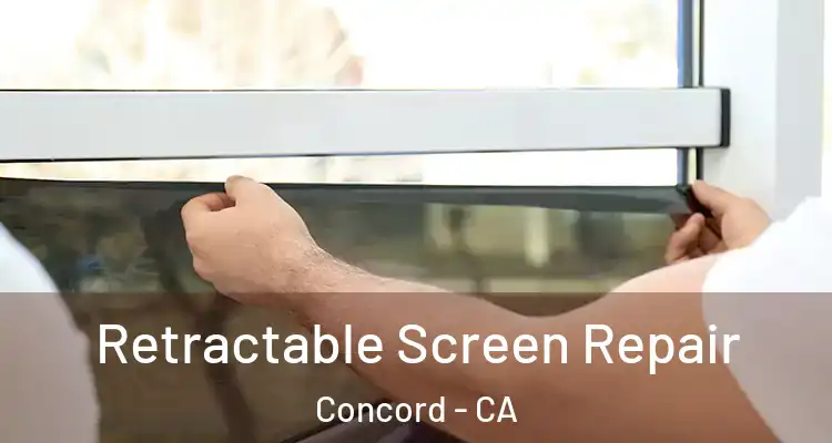  Retractable Screen Repair Concord - CA
