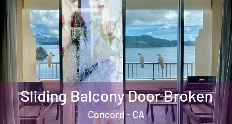  Sliding Balcony Door Broken Concord - CA
