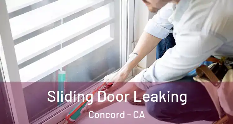  Sliding Door Leaking Concord - CA
