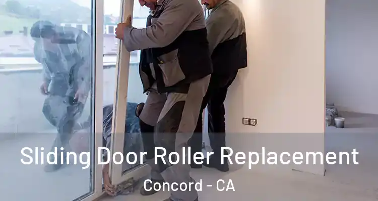  Sliding Door Roller Replacement Concord - CA