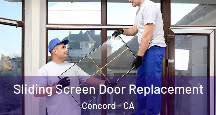  Sliding Screen Door Replacement Concord - CA