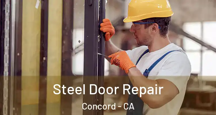  Steel Door Repair Concord - CA