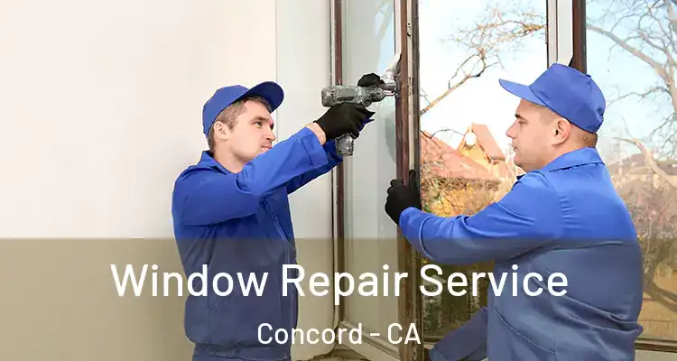  Window Repair Service Concord - CA
