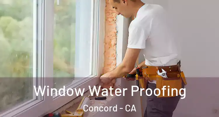  Window Water Proofing Concord - CA